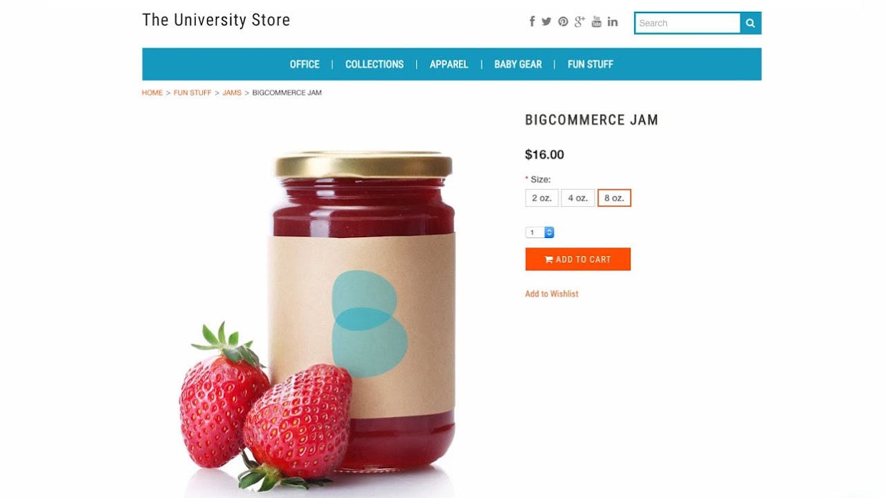 Product Options: Rules - Launch Store | Bigcommerce University