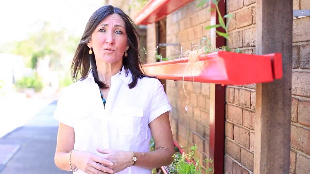 Introduction to Fermenting Workshop Trailer