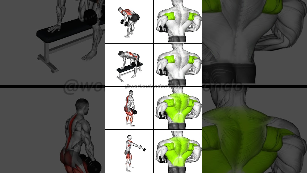 Build a Stronger Back: Top Dumbbell Workouts for Impressive Results!