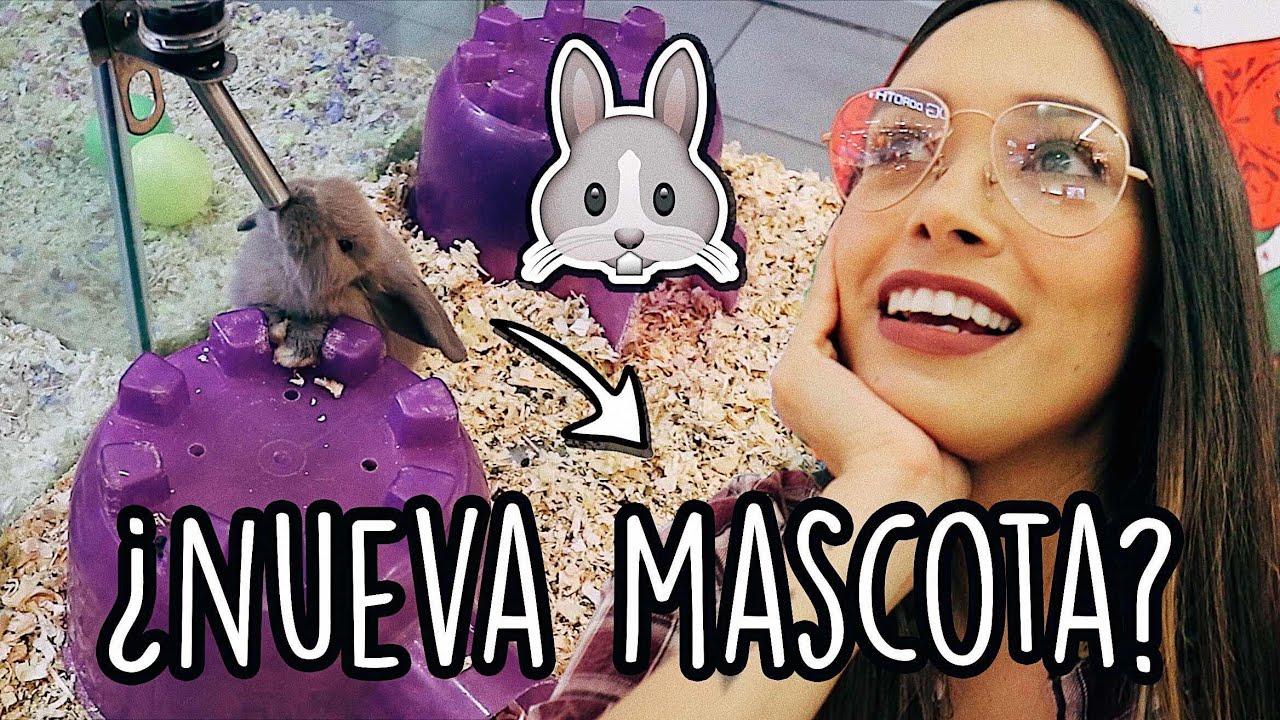 ¿MASCOTA NUEVA? | @AnaVbon