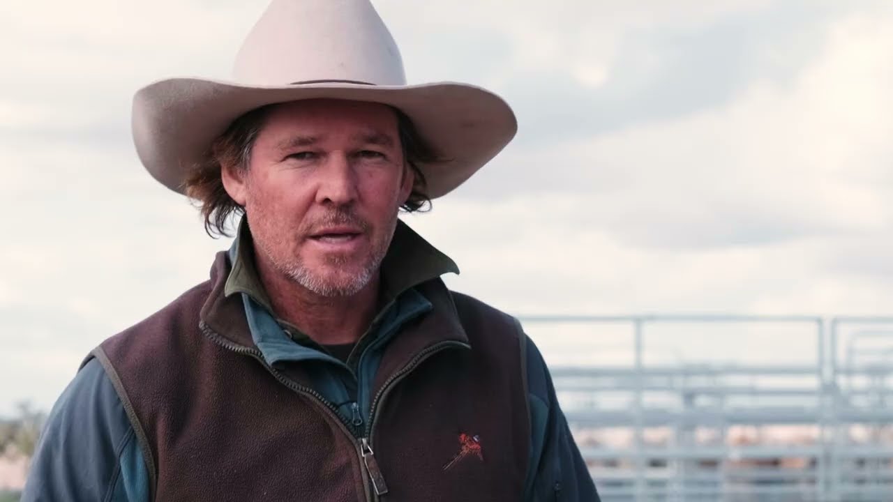 The Te Pari Taurus Cattle Crush