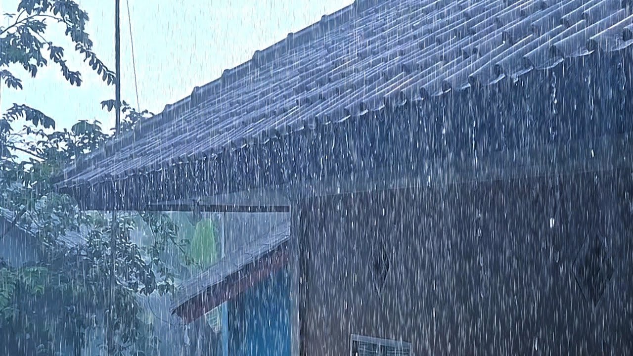 Heavy Rain & Thunder Sounds for Deep Sleep 🌩️ Relaxing Storm Noise