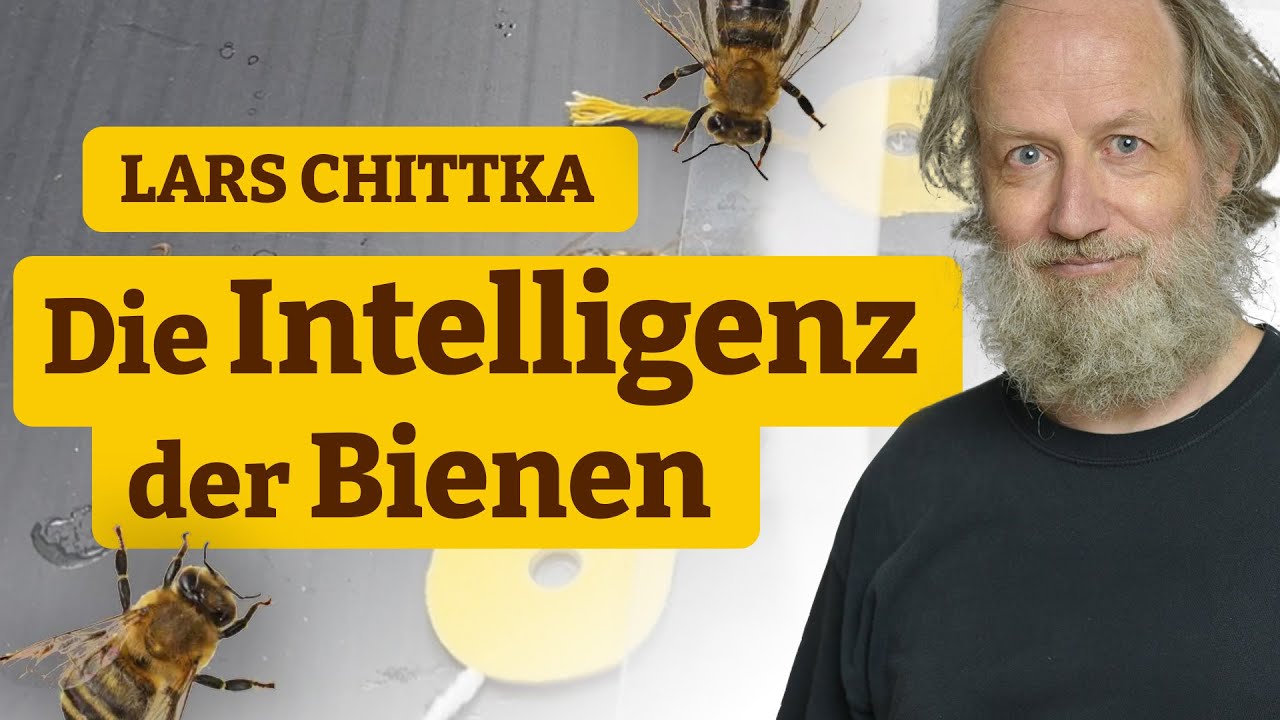 Lars Chittka: Die Intelligenz der Bienen
