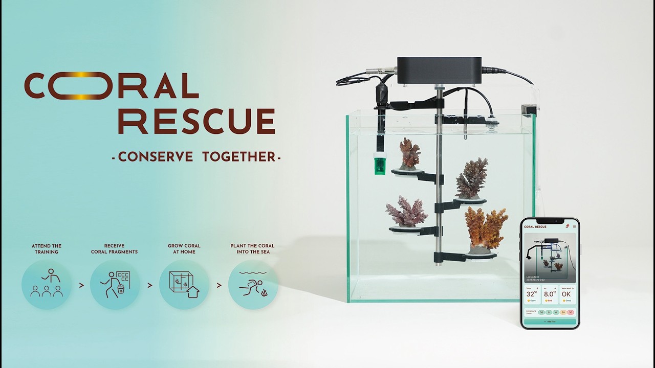 Coral Rescue – 2022–2025