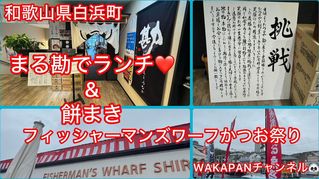 和歌山県白浜町　フィッシャーマンズワーフかつお祭り　まる勘でランチ&餅まき♪WAKAPANチャンネル🐼