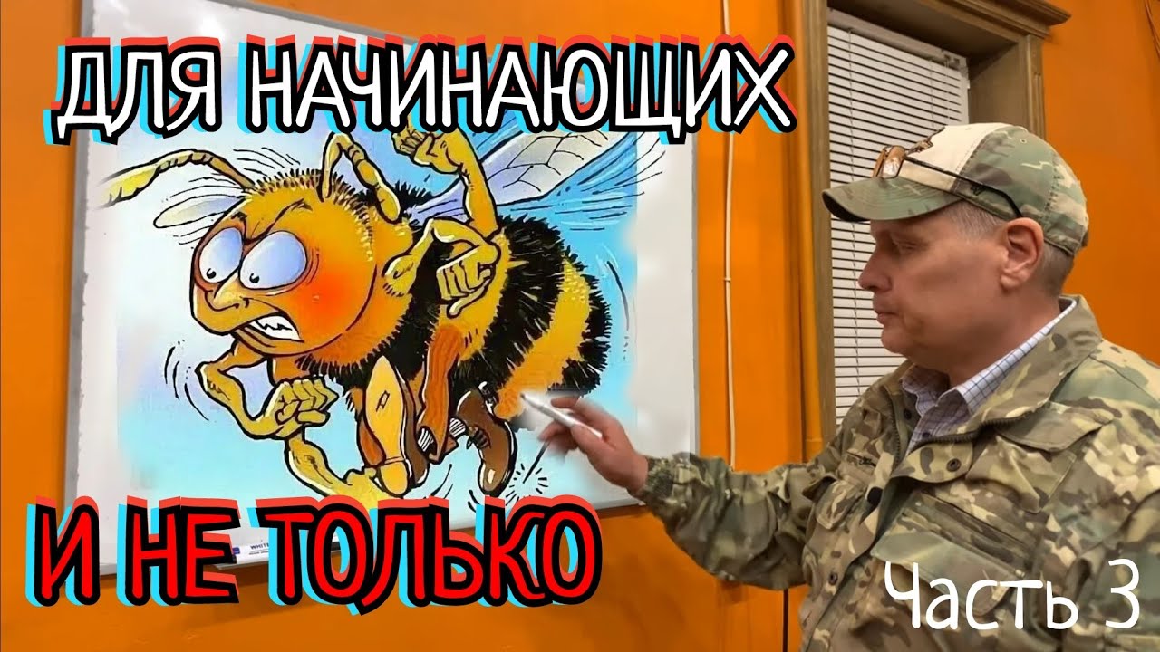 ДЛЯ ТЕХ КТО ХОЧЕТ ИМЕТЬ ПЧЕЛ уроки для начинающих