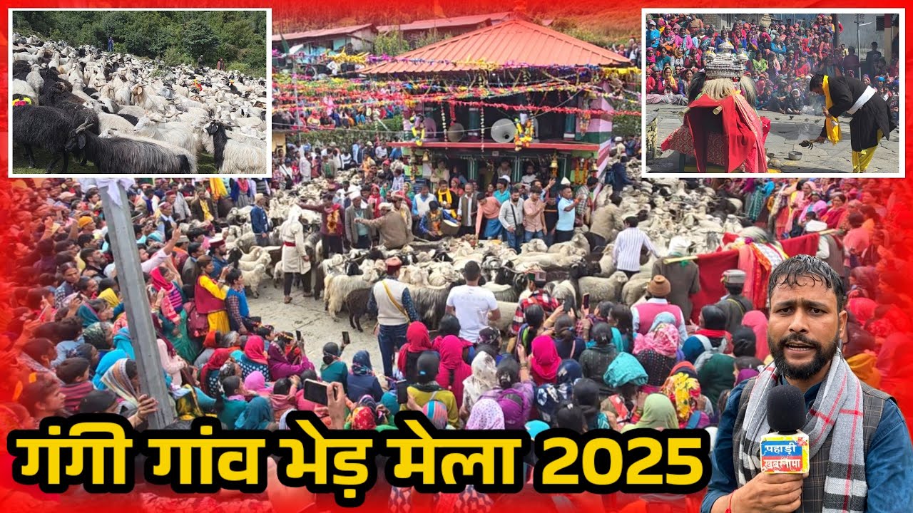 #गंगी गांव का ऐतिहासिक भेड़ मेला 2025 | #Gangi bhed Mela  | Village Lifestyle | Uttarakhand culture