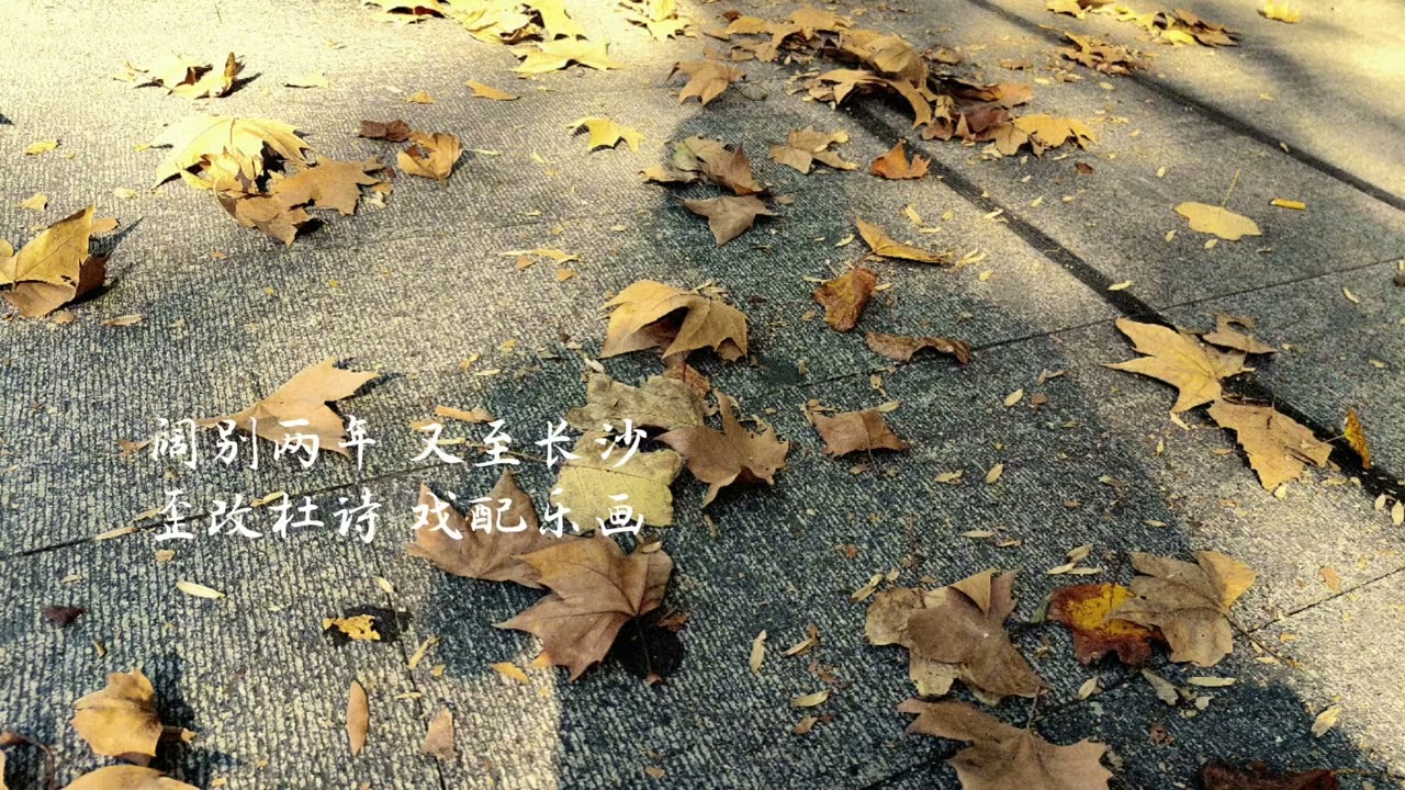 Zhaoze | old song Luomu / 沼澤樂隊｜舊曲《落木》