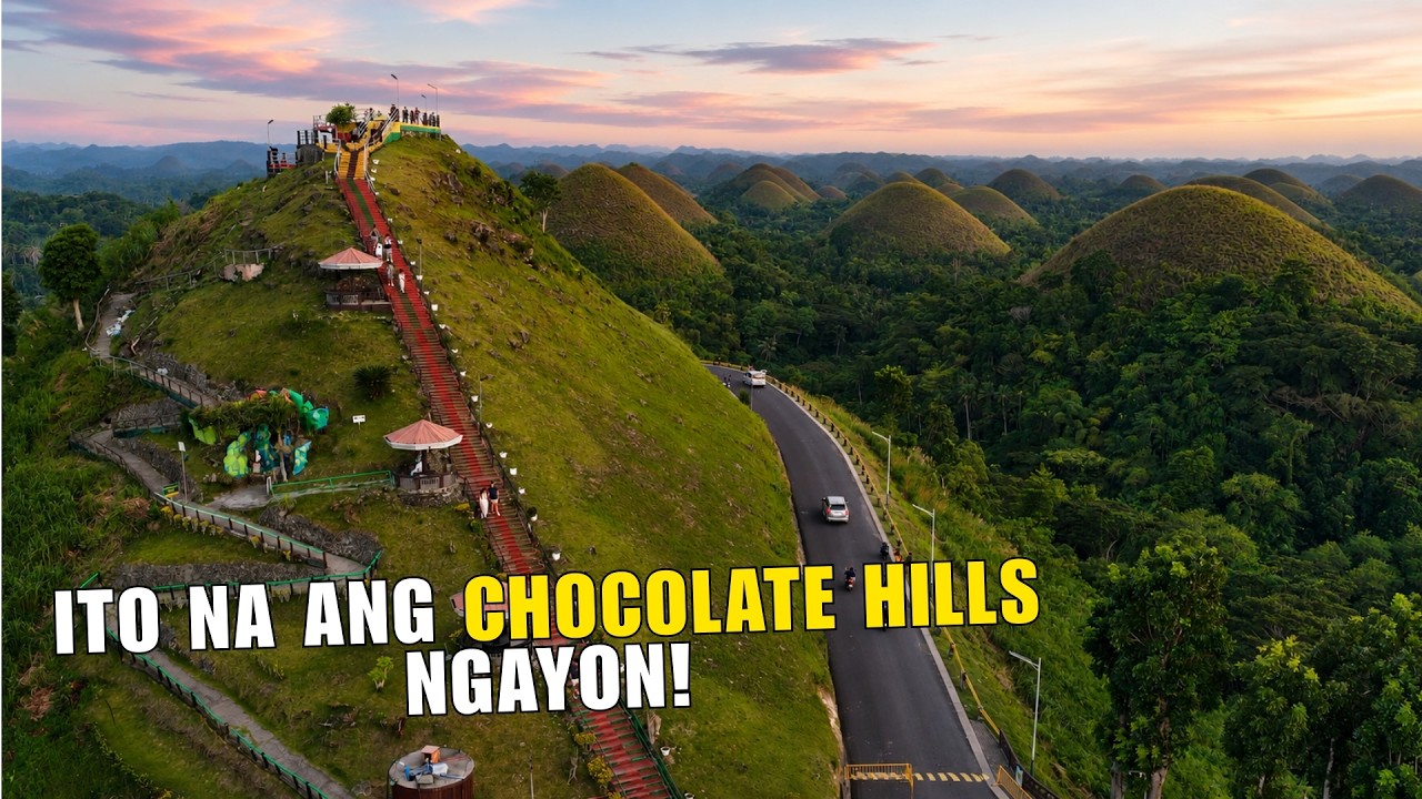 Panglao Beach to Chocolate Hills Bohol Ride | Man Made Forest | Balicasag Island (Ep. II)