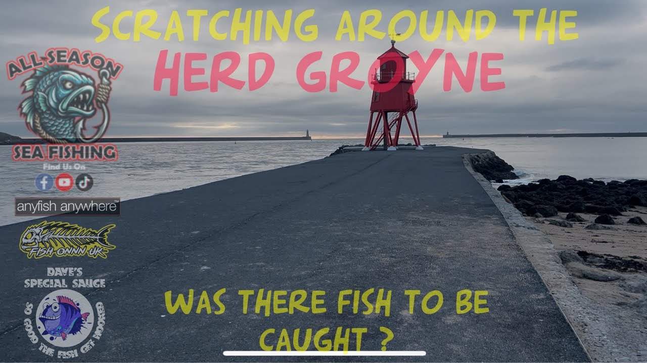Scratching around the herd groyne 