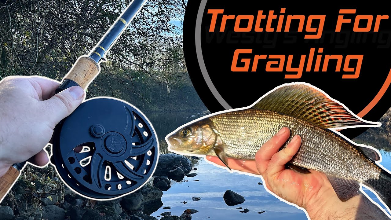 Trotting For Grayling | Centrepin Fishing