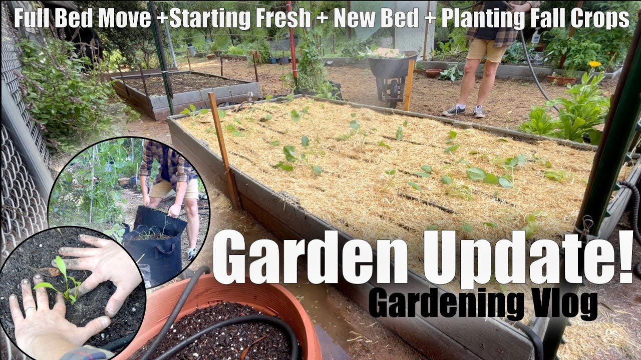Zone 10b Fall Gardening: 🚚 Moving Raised Beds & Planting Crops🌻