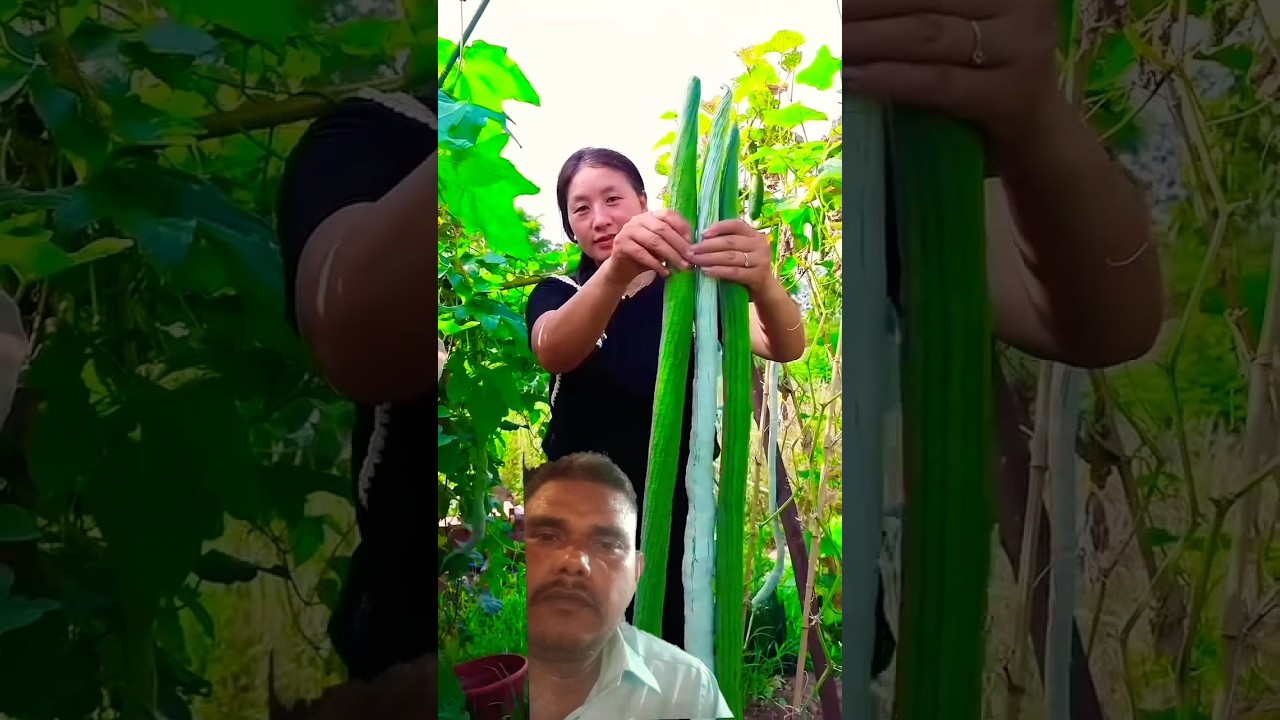 I saw wonderful vegetable #shots #youtubeshorts