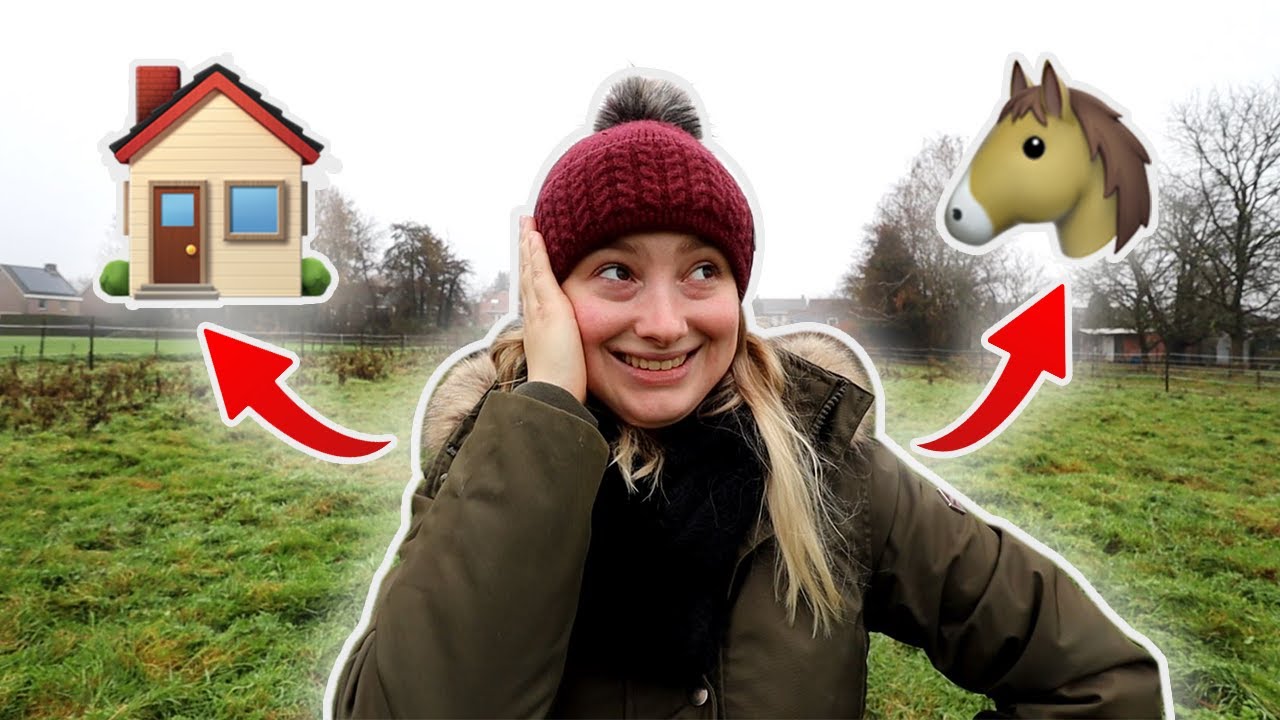 Bijna een HUIS en een PAARD gekocht?! + Shettie boswandeling | #90 |  Dwally's Horses