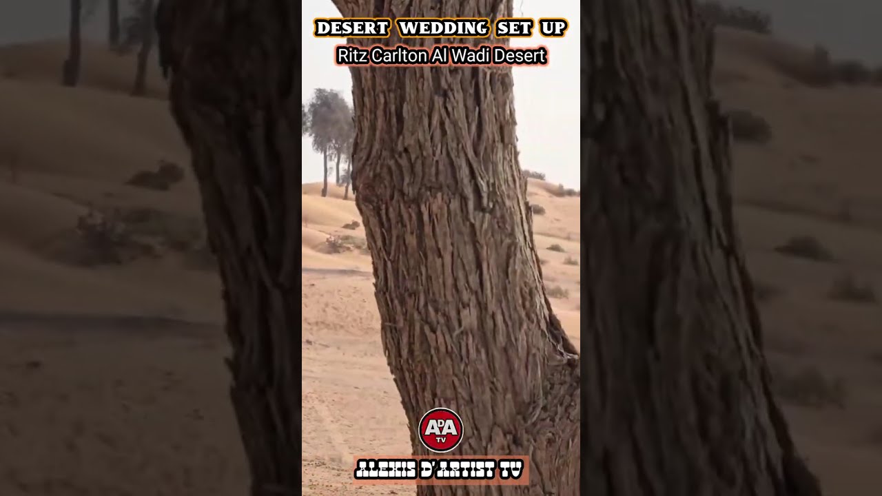 DESERT WEDDING SET UP #weddingsetup #desertweddingserup #ritzcarltonalwadidesert #arabicwedding #fyp