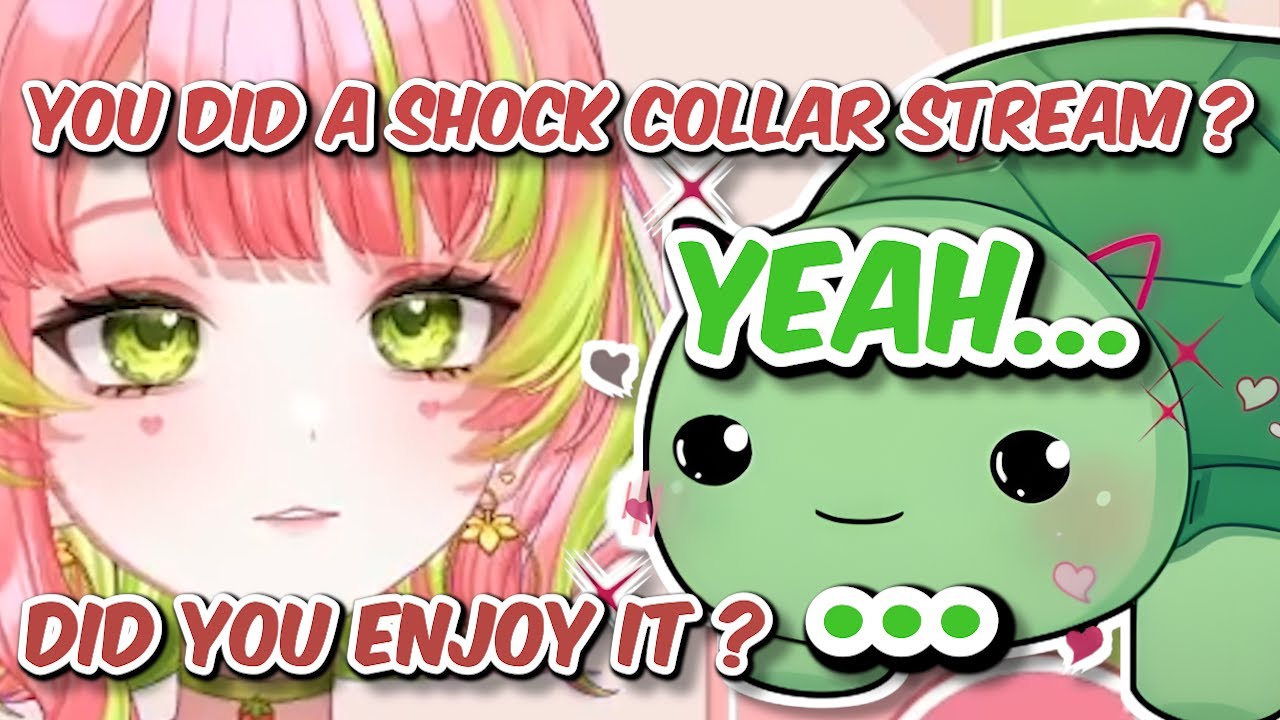 Vedal Tell Toma About The shock collar Stream