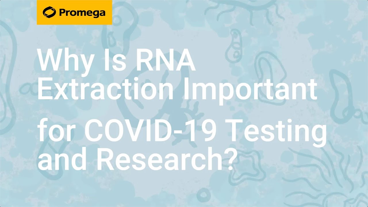 Why Is RNA Extraction Important for COVID-19 Testing and Research?