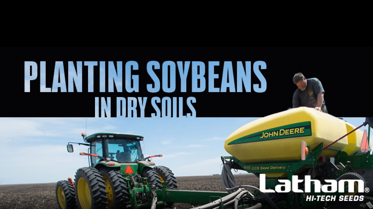 #AskTheAgronomist: Planting Soybeans in Dry Soil
