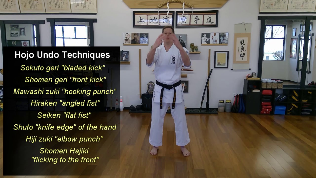 Uechi Ryu full class opening