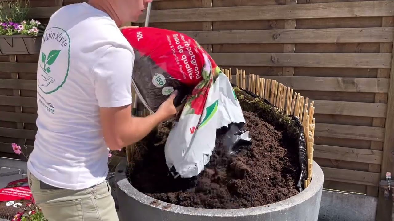 Comment associer les fleurs annuelles en grande jardinière?