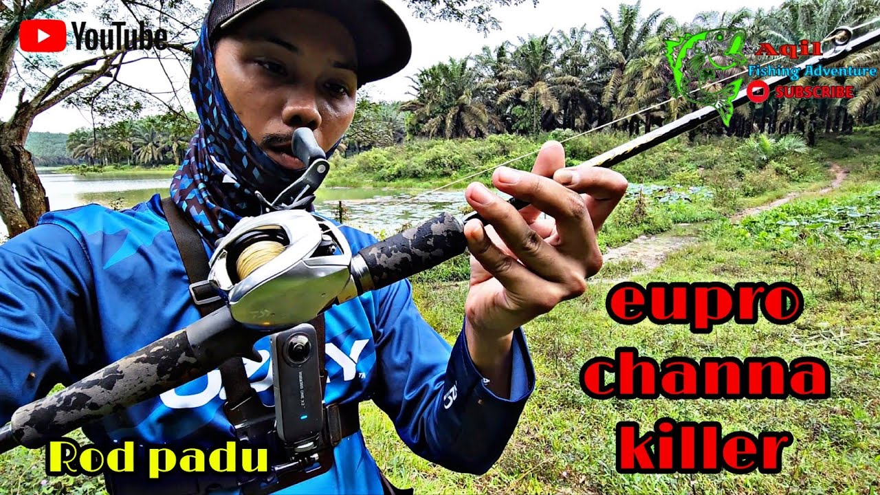 FIELD TEST || REVIEW : EUPRO CHANNA KILLER 602MHB PE3 || Tewasnya Toman Sado #eupro #daiwa #toman