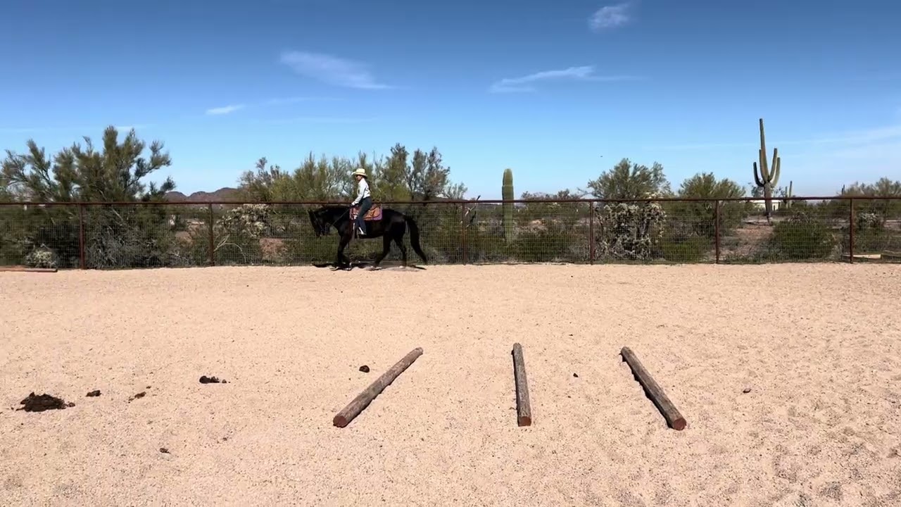 Class #112 February Ranch Pleasure - RCR Harley/Nicole Olmedo