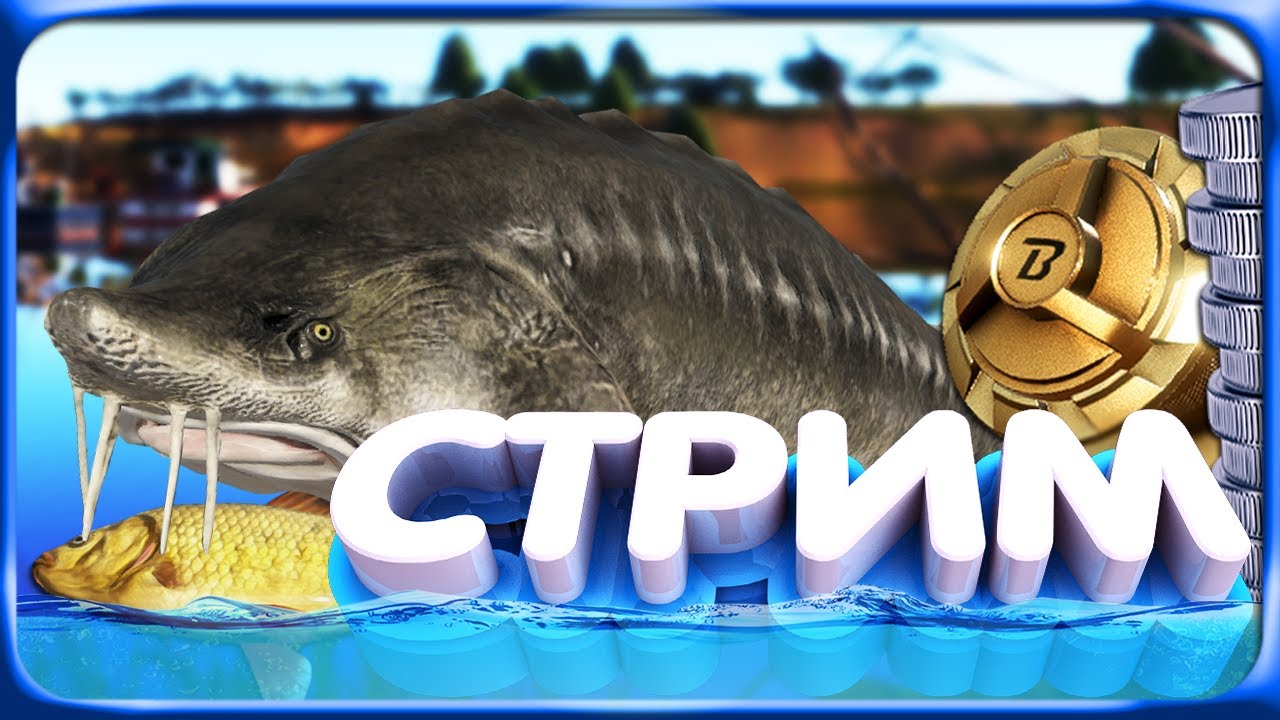 РР4 СТРИМ  •⭐НОВЫЙ ФАРМ СЕРЕБРА и ОХОТА за ТРОФЕЯМИ на РАЗНЫХ ВОДОЁМАХ!⭐#рр4 #рр4стрим