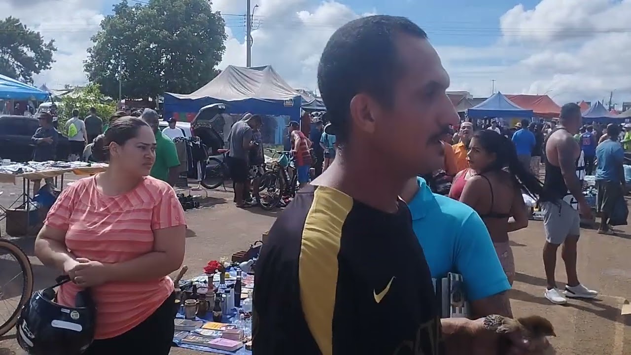 Hoje aqui na feira do rolo de samambaia deu treta 