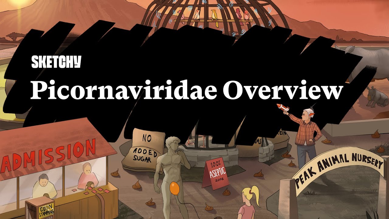 Comprehensive Picornaviridae Family Study Guide (Part 1) | Sketchy Medical | USMLE Step 1