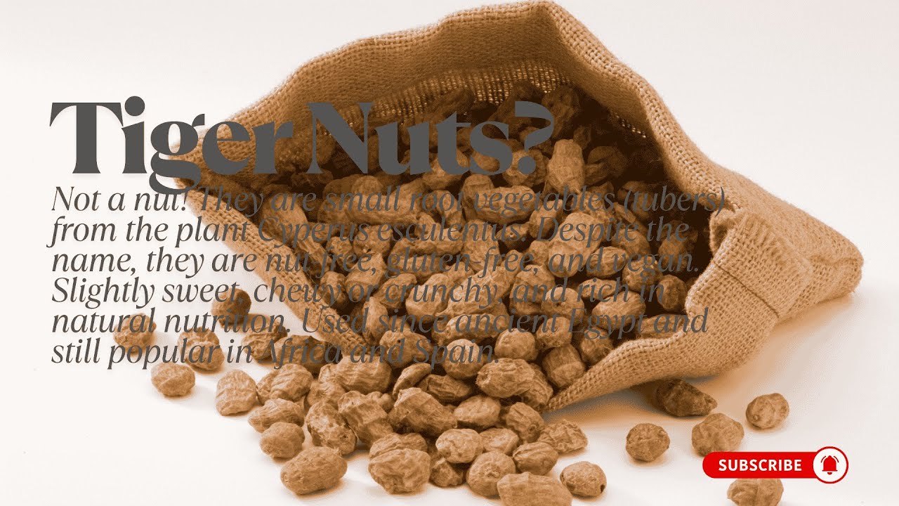 What Are Tiger Nuts? Benefits, Uses & How to Eat! #TigerNuts #Superfood #HealthySnack #NutFree