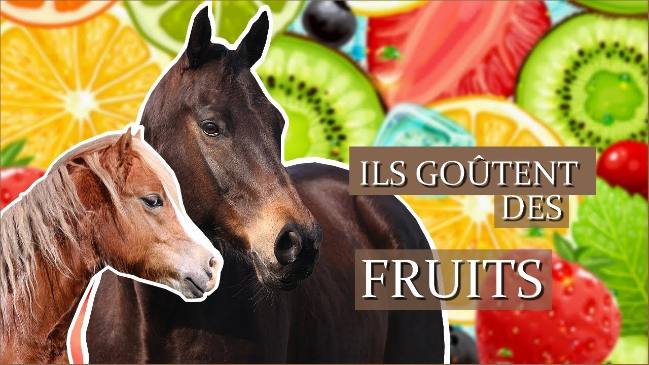ILS GOÛTENT DES FRUITS !! - Qui sera le moins difficile ?