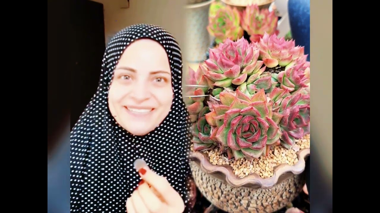 🤣👌👌👌2026 pov Must-Watch Crazy Clips Compilation #humor #fypシ #pov #fyp #foryou 😍😜