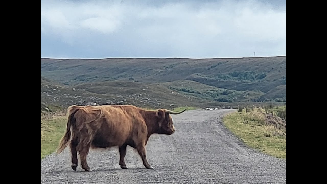 Schottland Motorradtour 2022 – Honda Rebel 1100 & NC 750X | Teil 2: Highlands & Applecross