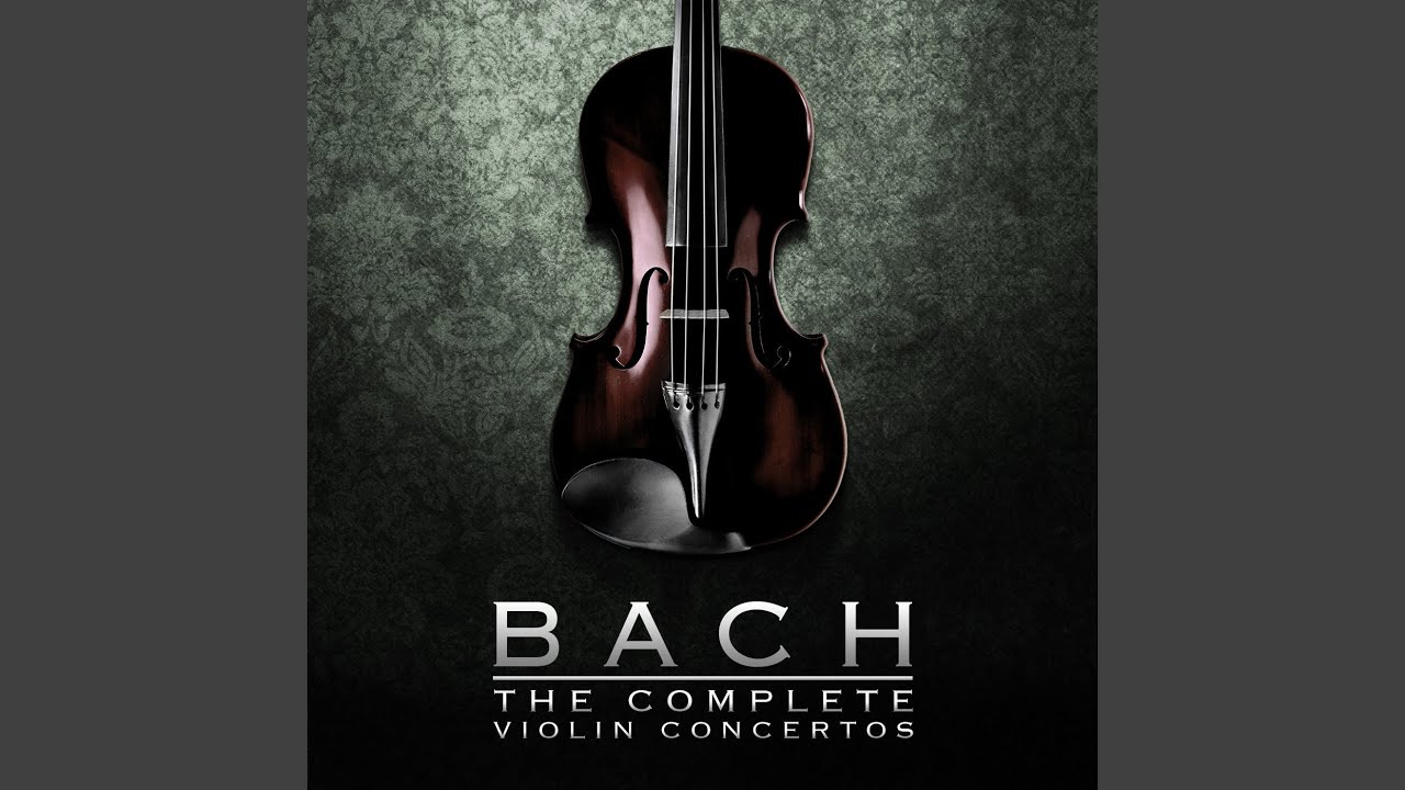 Concerto in G Minor for Violin and Strings, BWV 1056R: III. Allegro assai