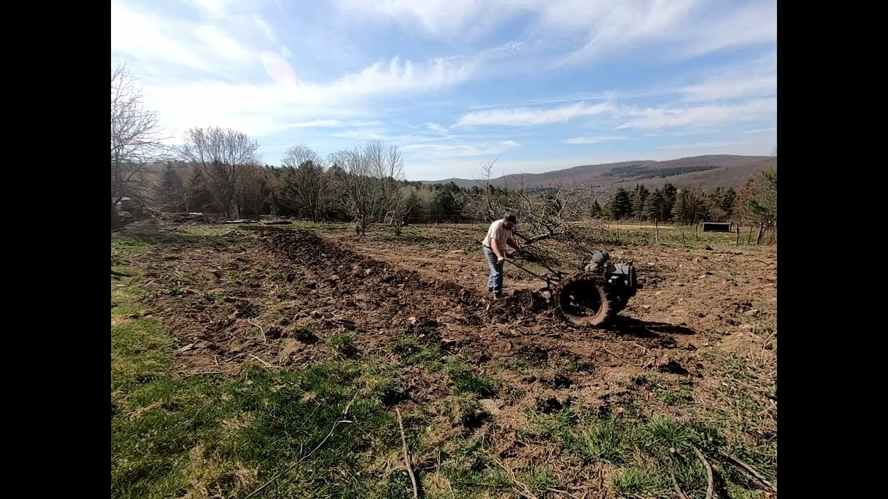 Plowing the garden with the 1950 Standard Twin Convertible April 2023