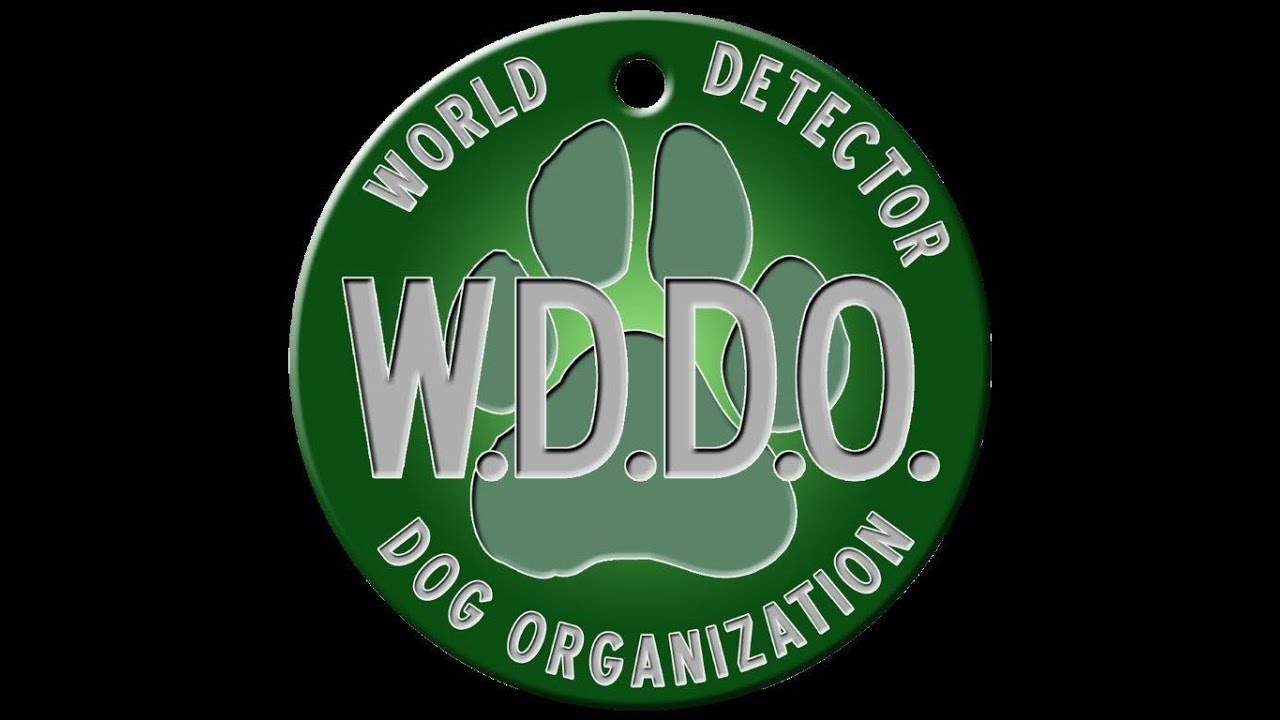 How is a Double Blind Test Administered?