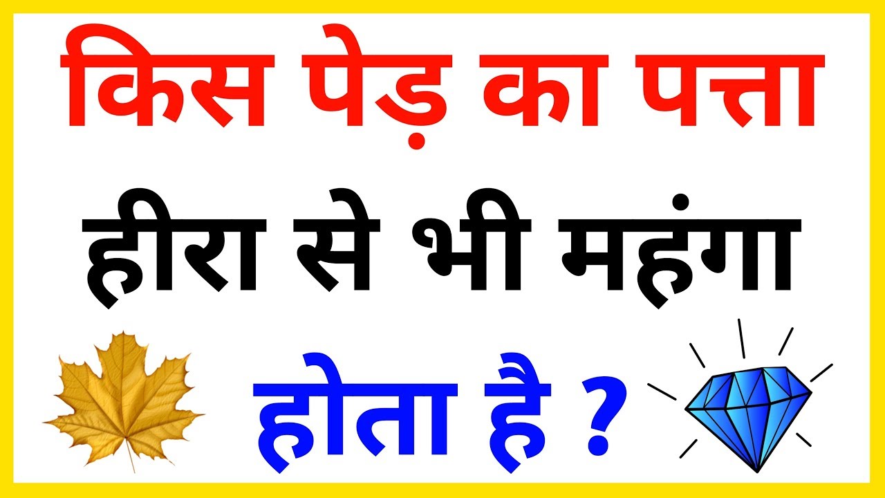 General Knowledge Question (Part 2) | Gk 40 Questions | Interesting Gk | Gk | Ashu Study