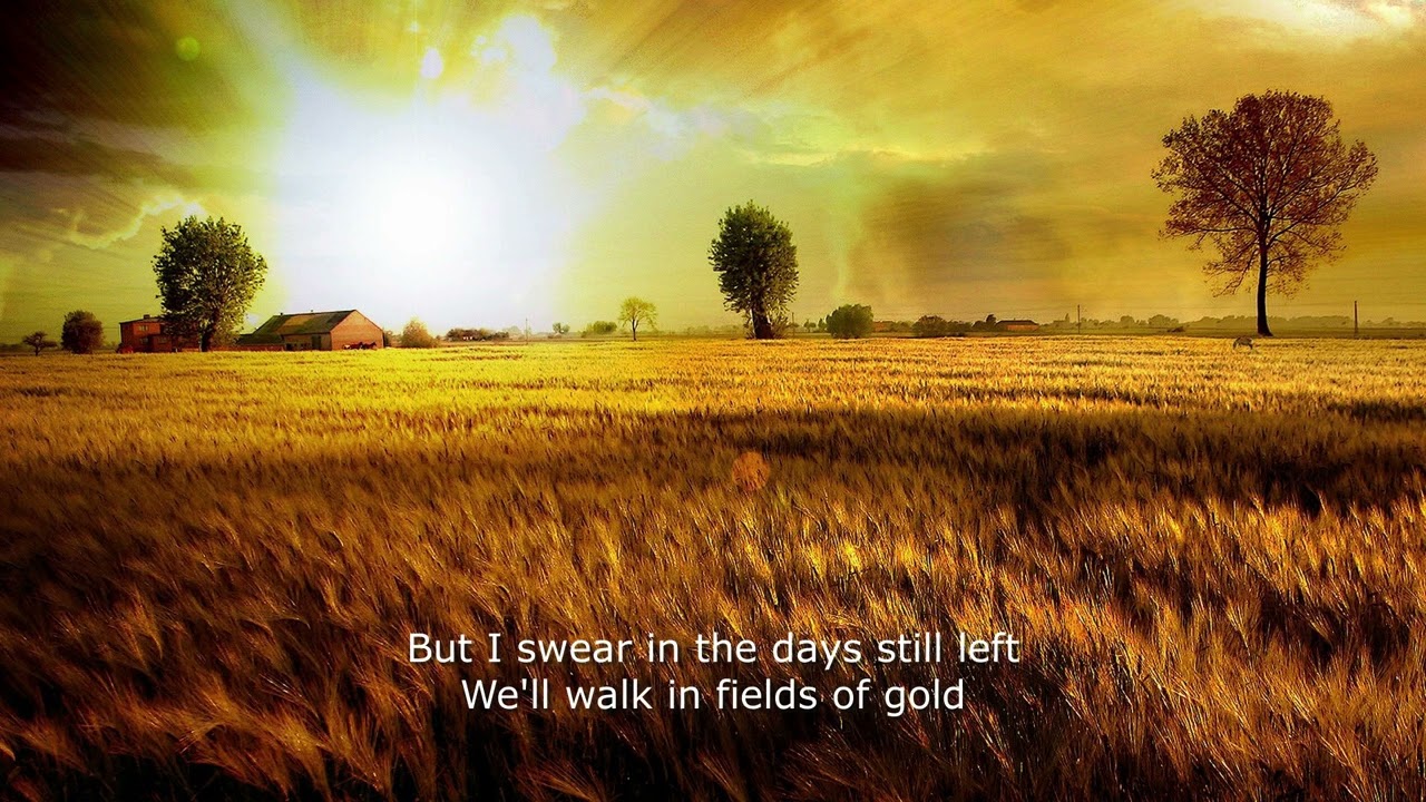 Fields Of Gold