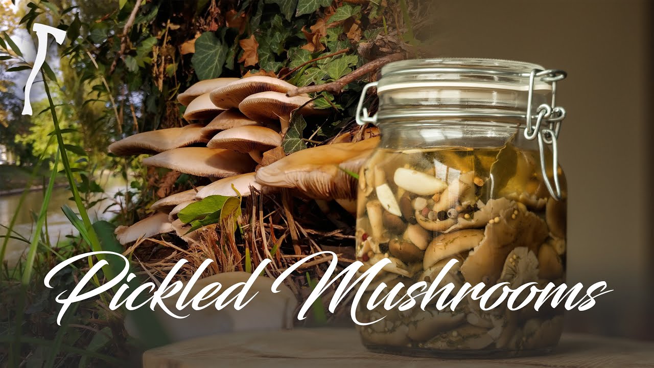Pickled Mushrooms / Poplar Fieldcap