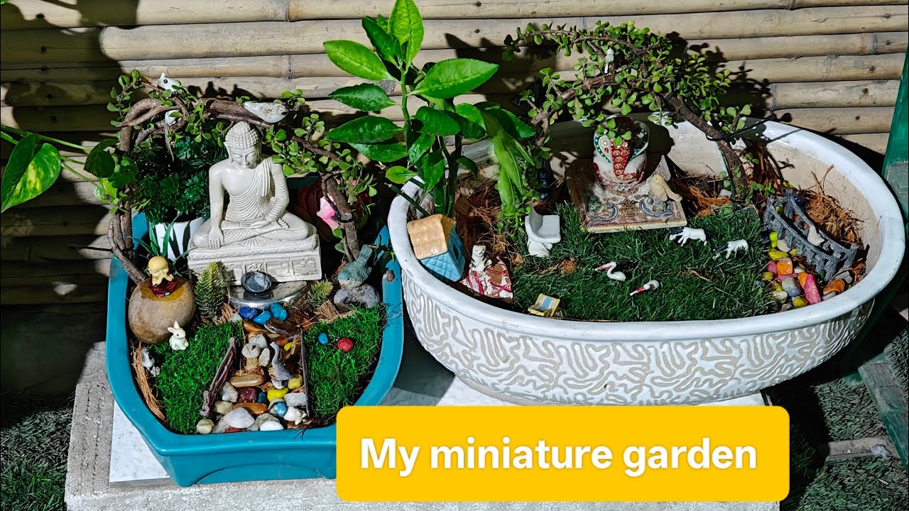 Aaj miniature banaya #budhha #gardning #miniature