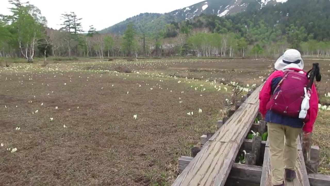 山の鼻小屋至近地 2025年6月2日（月）15時13分