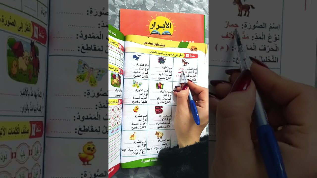 المفرد والجمع للصف الاول الابتدائي الفصل الدراسي الثاني #بسطهاومتعقدهاش #اكسبلور