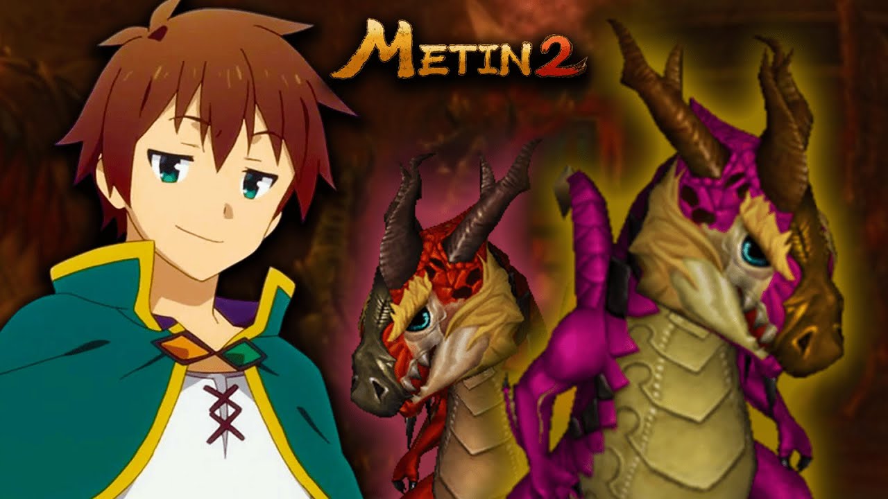OPERATIUNEA PET 2.0 | METIN2RO