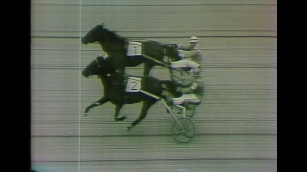 Tipsextra med V65 fr&aring;n &Aring;by 14 april 1984.