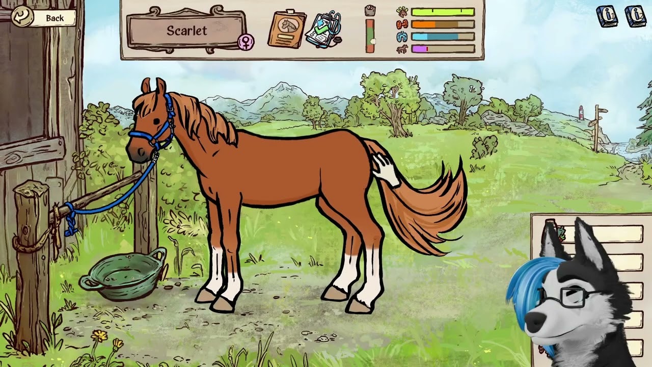 Horses of hoofprint bay demo!