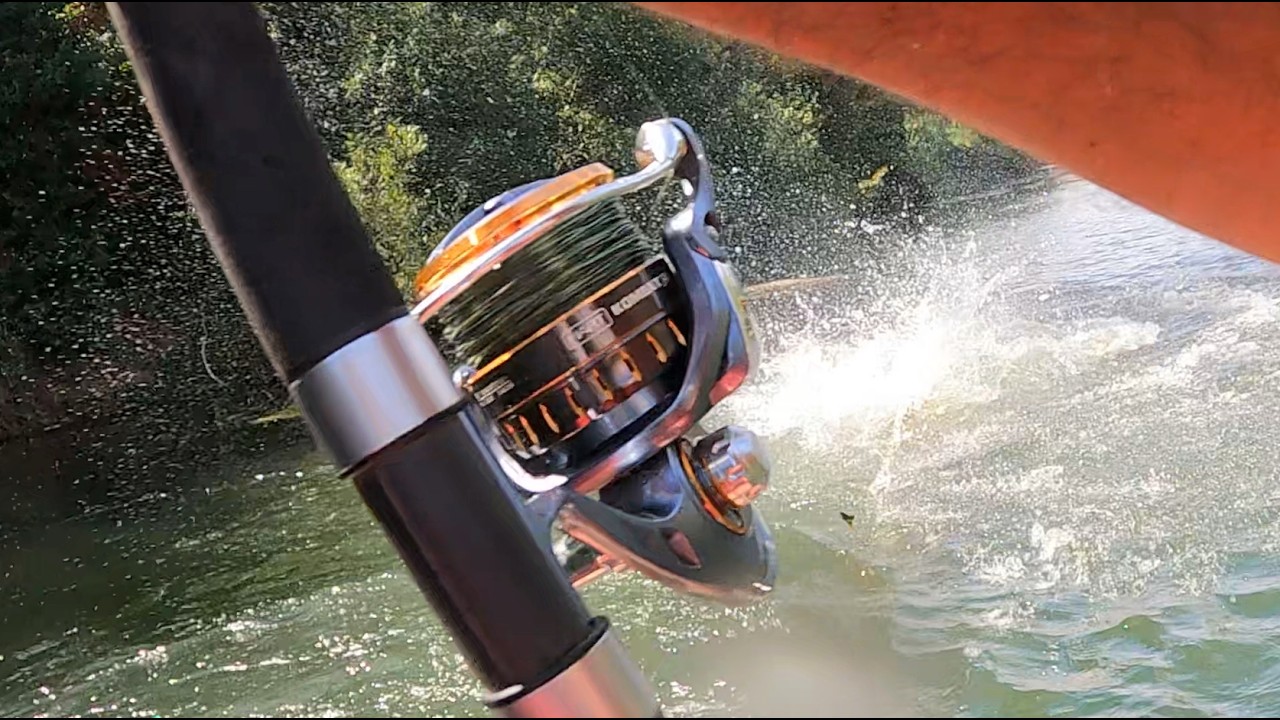 Silure 2.40m+ en eau claire !