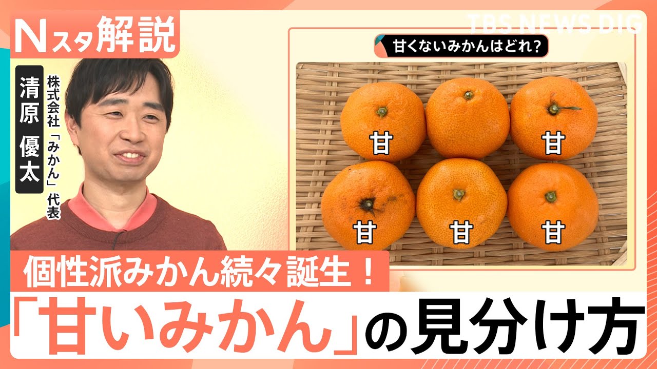 【甘いみかんの見分け方】“200種超え”最新みかん事情＆人気上昇「紅まどんな」の魅力【Nスタ解説】｜TBS NEWS DIG