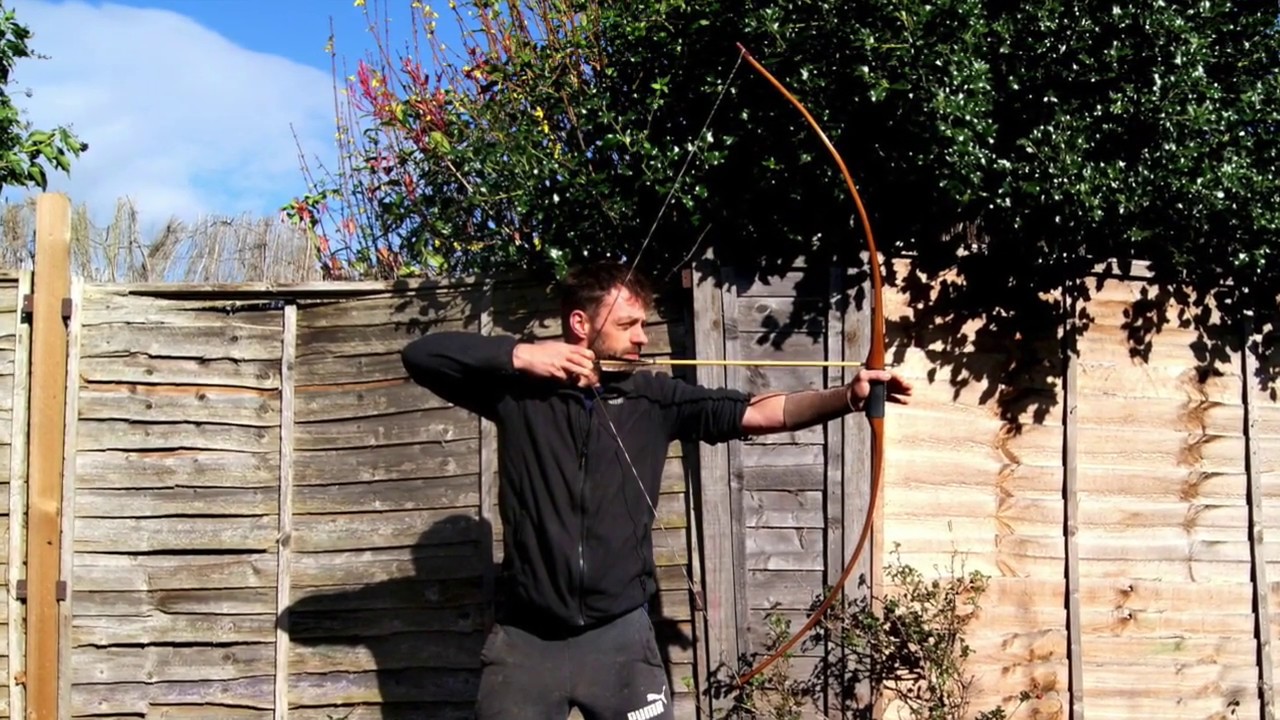 laburnum selfbow