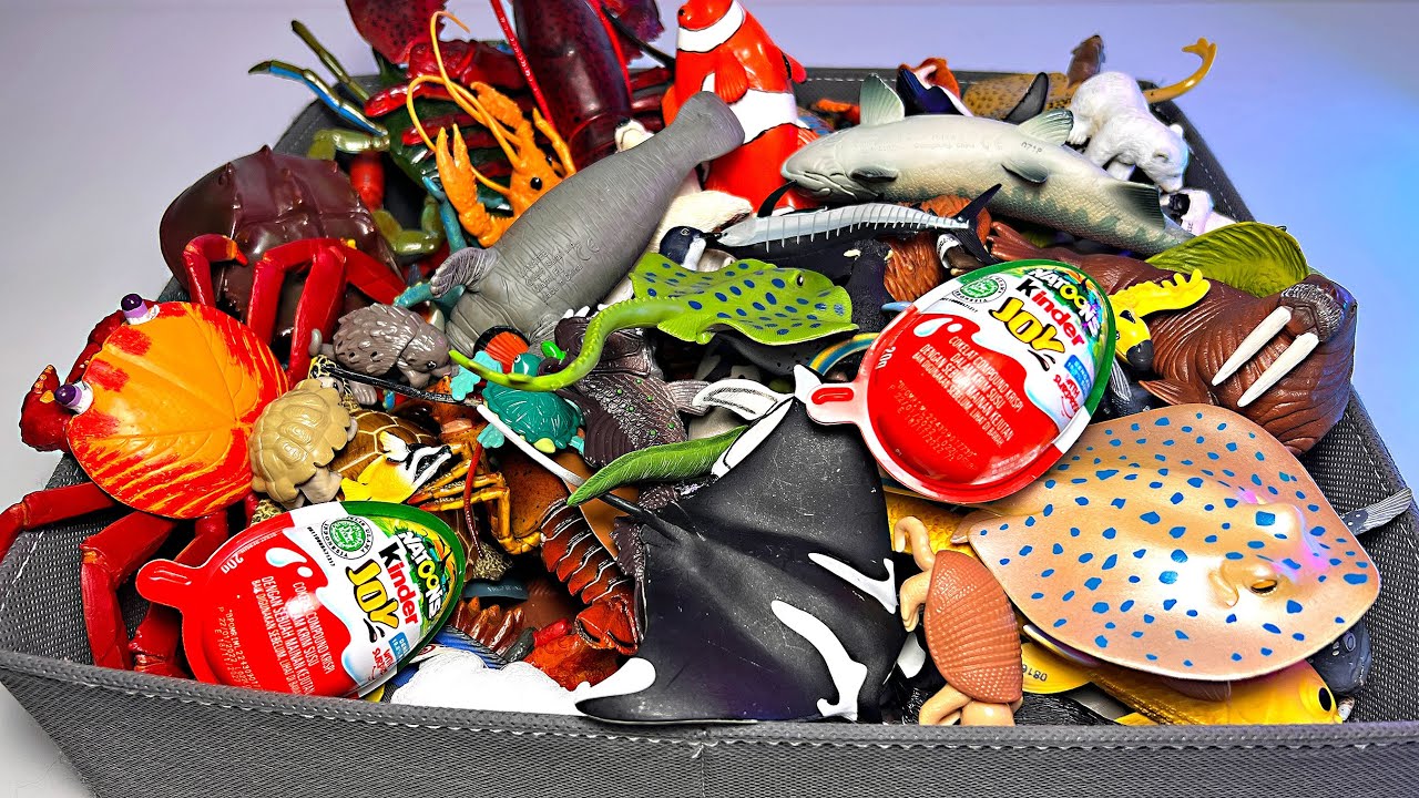 New Sea Animals - Penguin, Crab, Octopus, Turtle, Squid, Seal, Walrus, Orca, Whale, Moray Eel, Ray