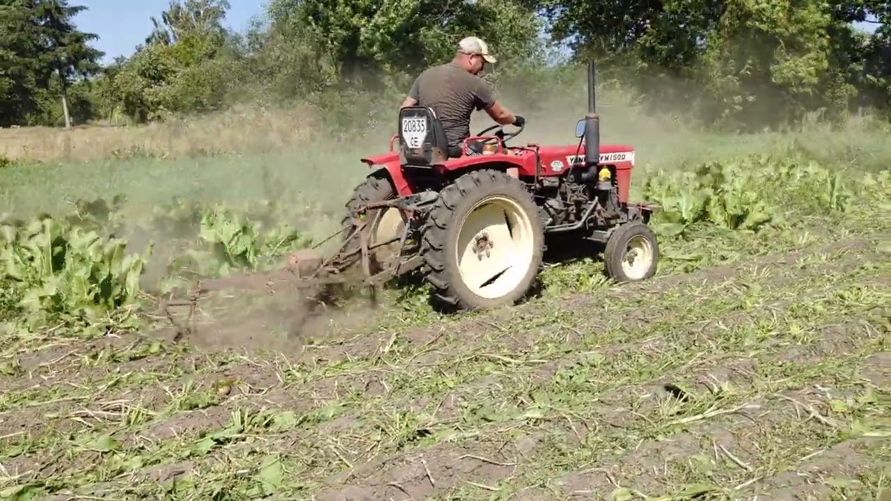 Yanmar 1500 косить траву на картоплі!!!